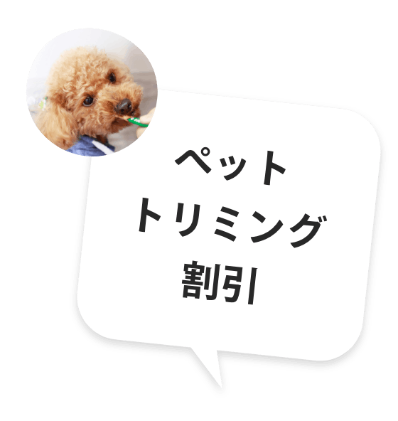 ペットトリミング割引